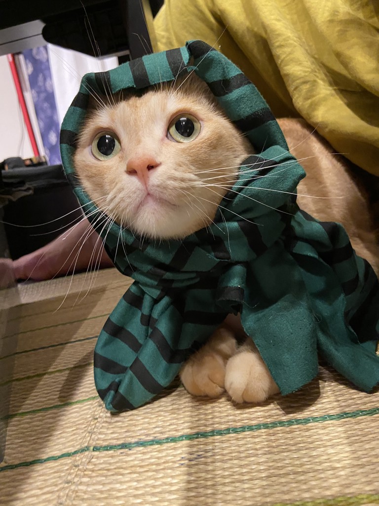 がっちゃん