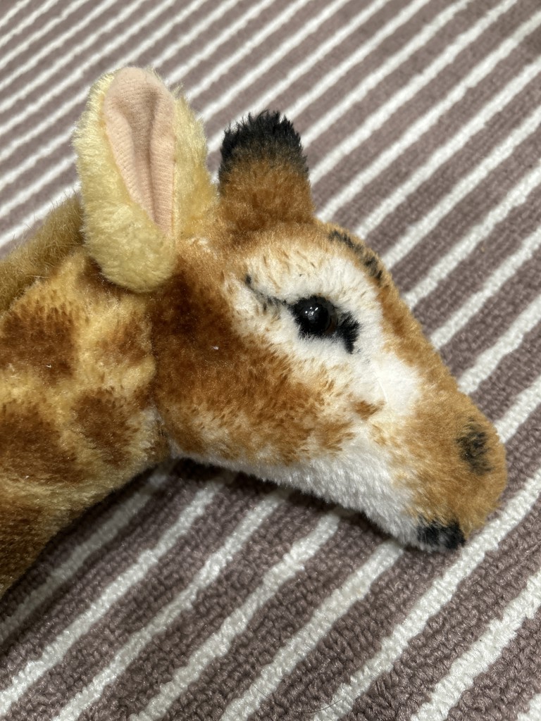 あーむくん
