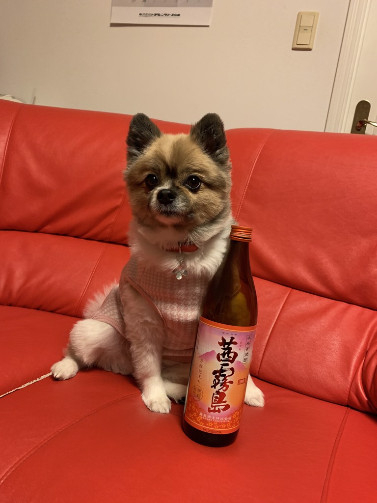 よーちゃん