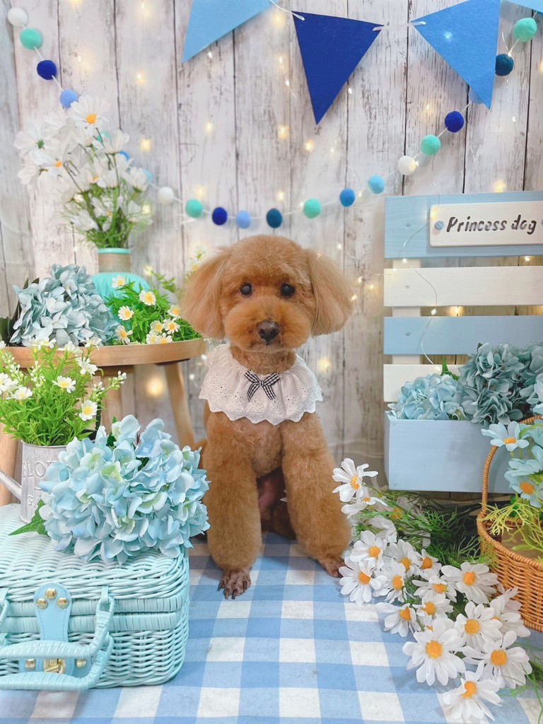 ユーザーアイコン