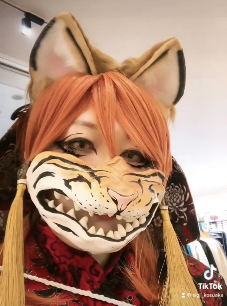 シギ