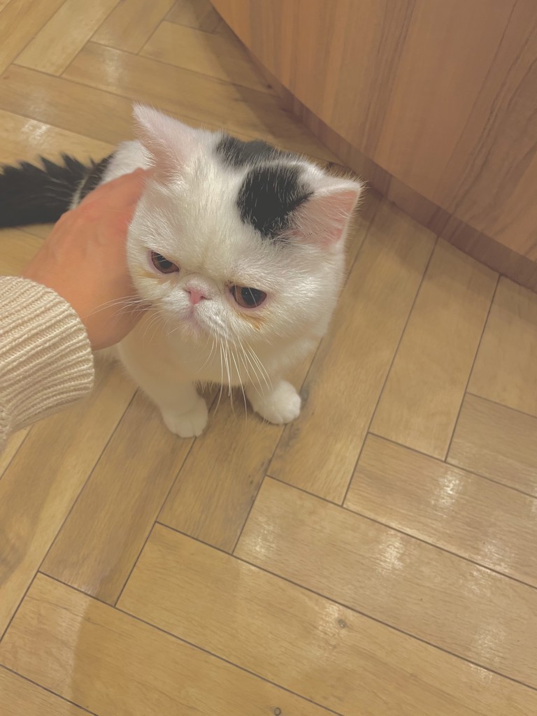 きく