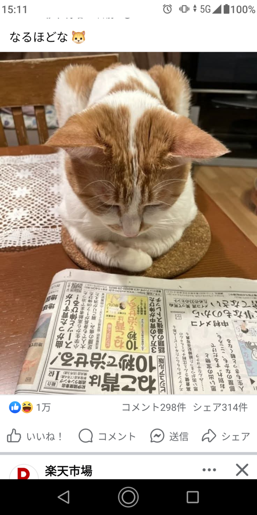 ゆーさく