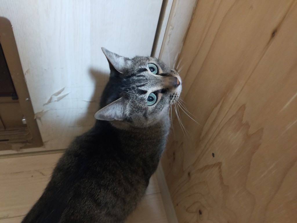 ユーザーアイコン