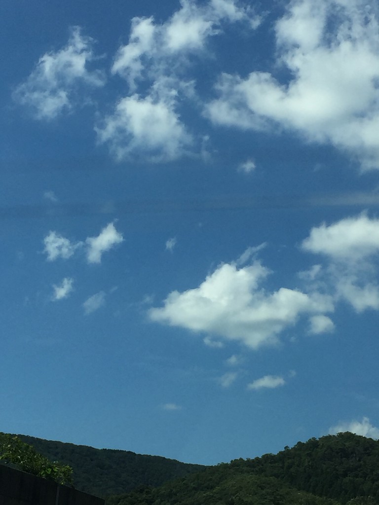 まい