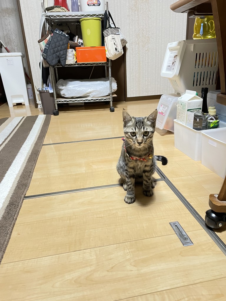 がっちゃん