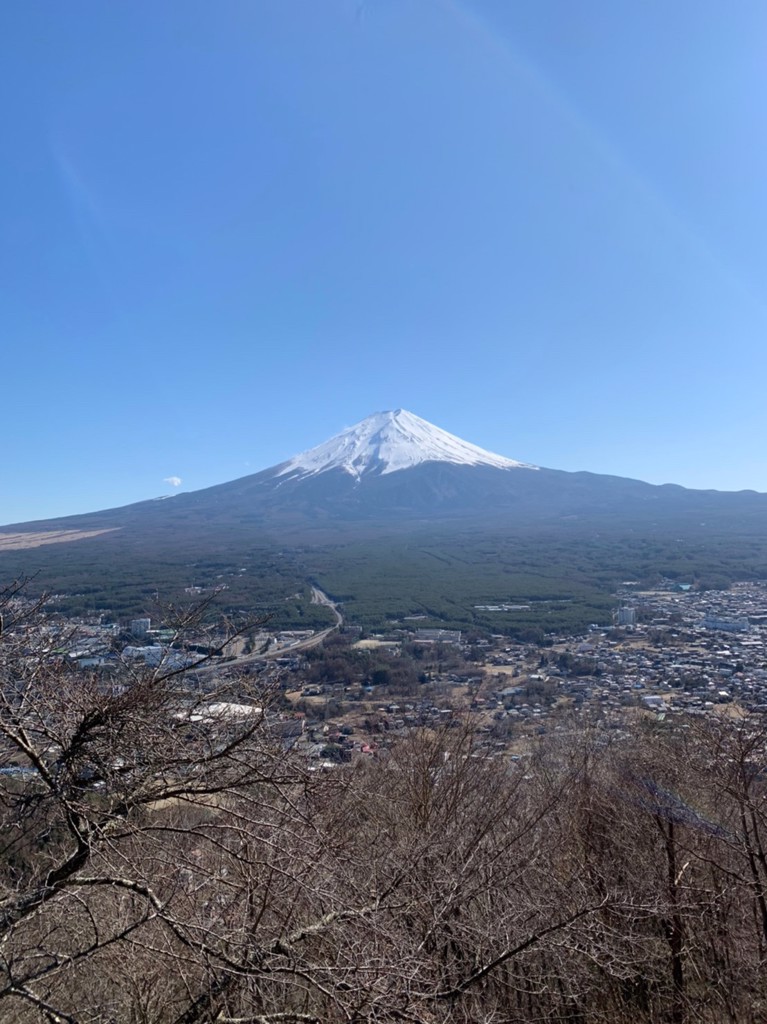 コズコズ