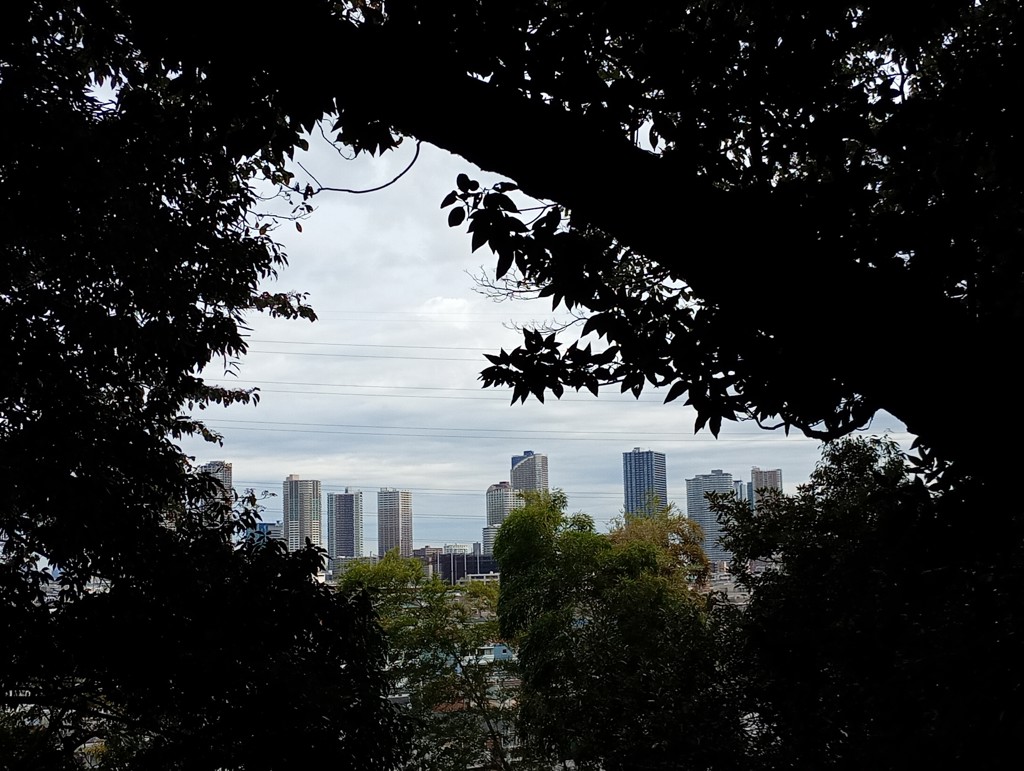 ユーザーアイコン