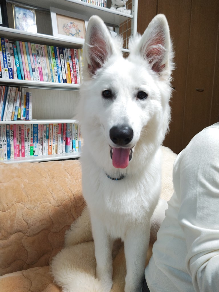 ユーザーアイコン