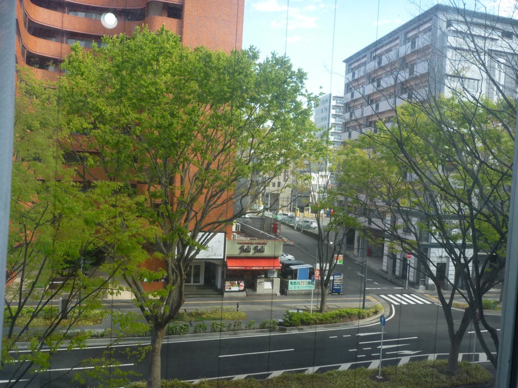 kijirushinori