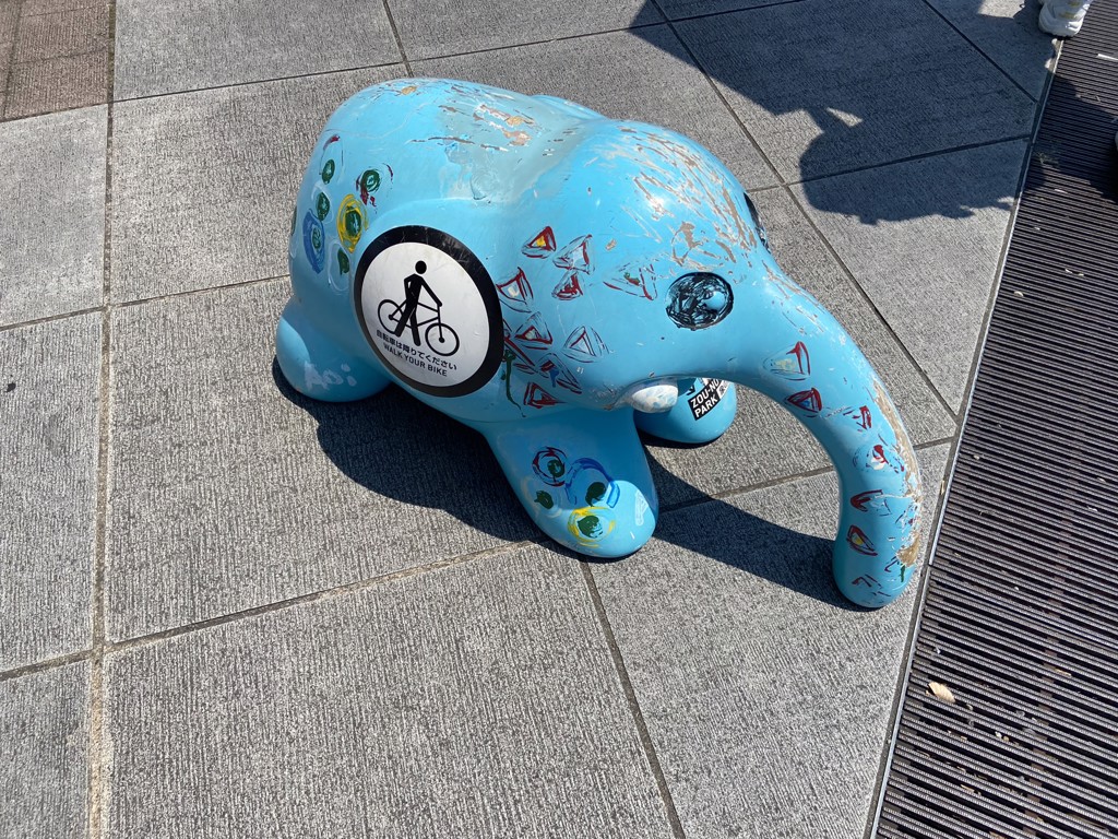 イカ