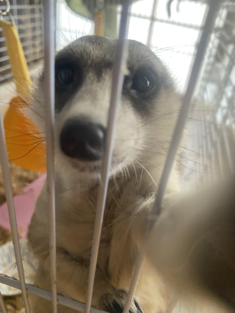 るなな