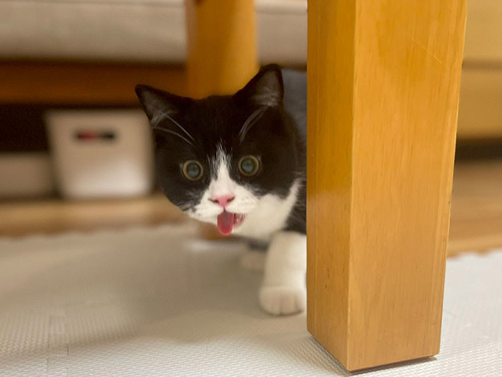 赤トレックちゃん