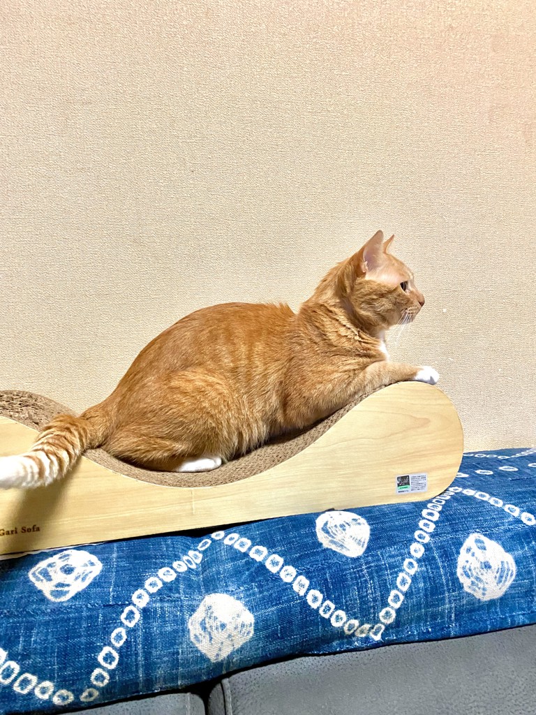あよっこ