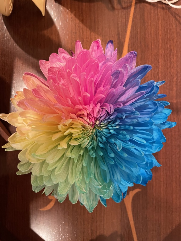 にゅーよーかー