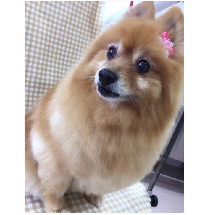 ユーザーアイコン