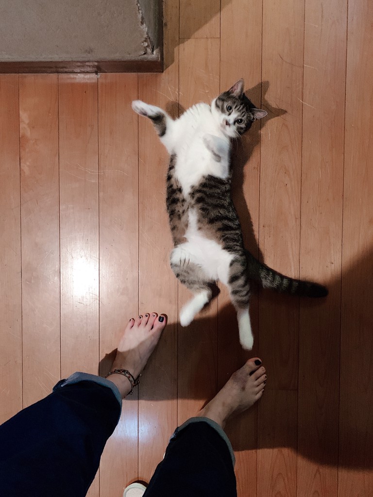 イチコ