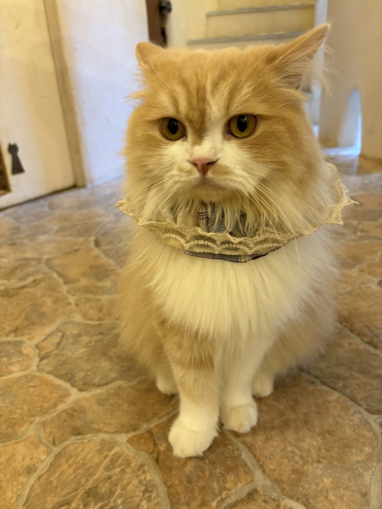 ユーザーアイコン