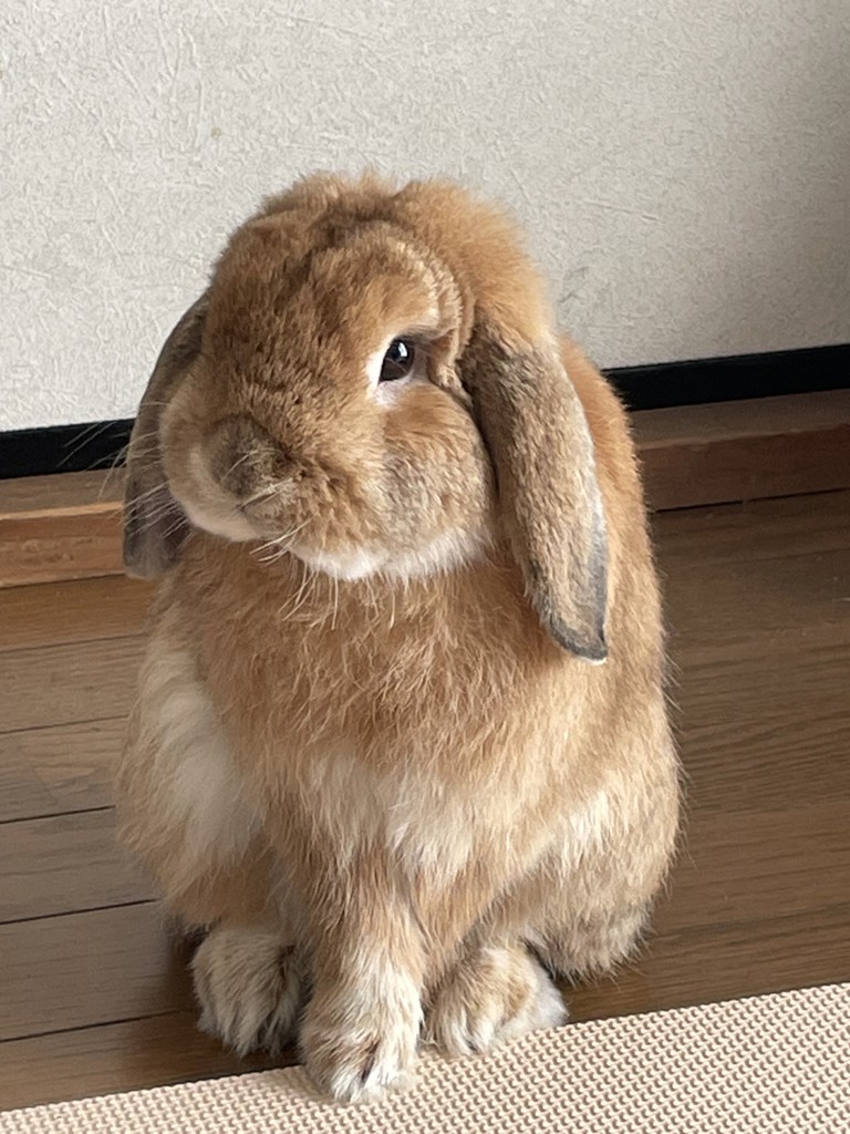 あっちん