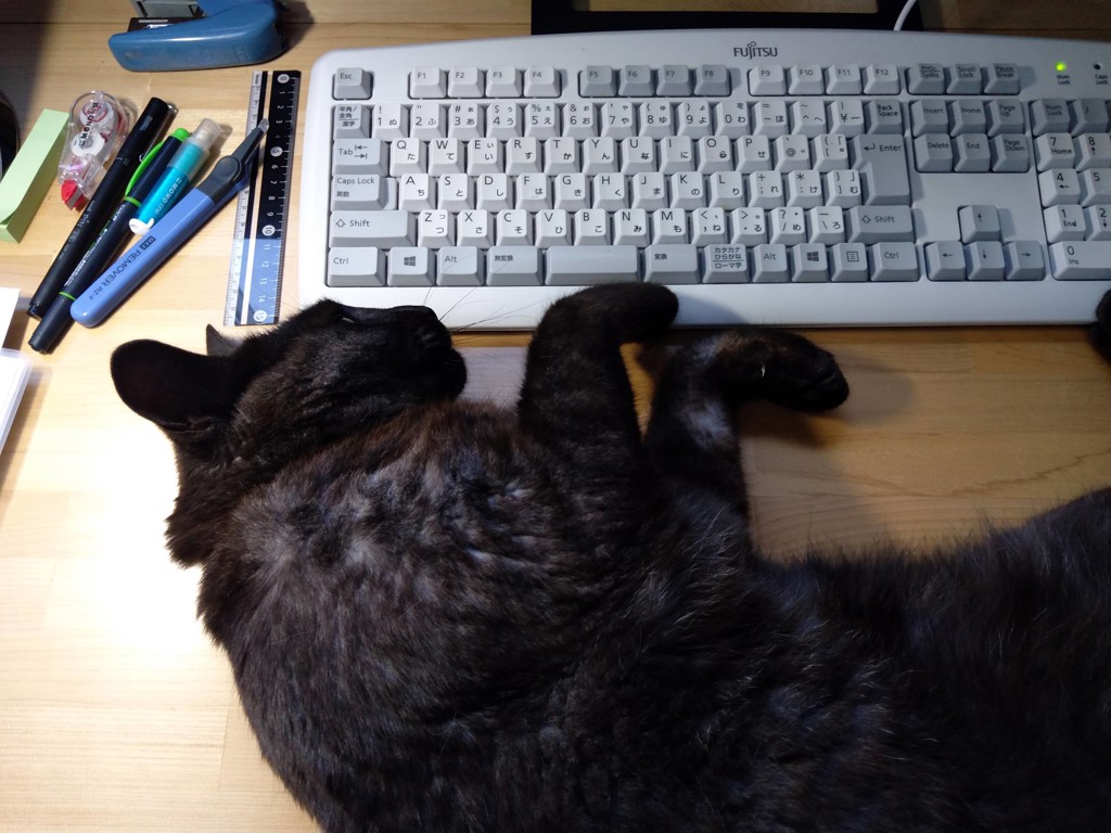ともちん