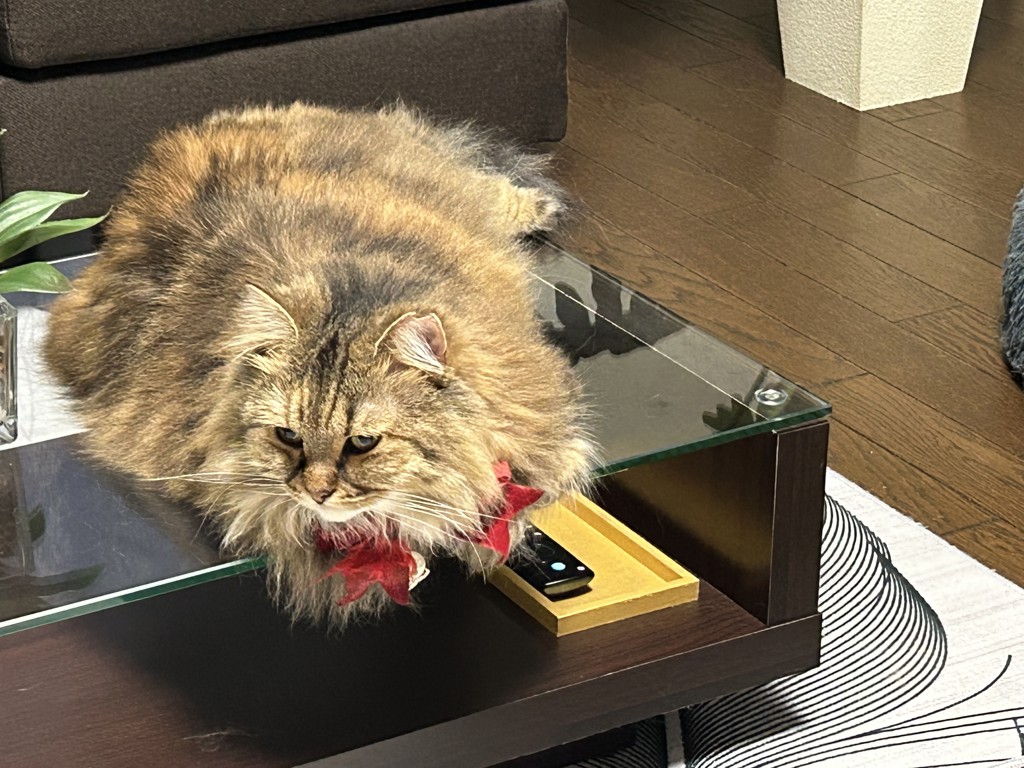まぁ