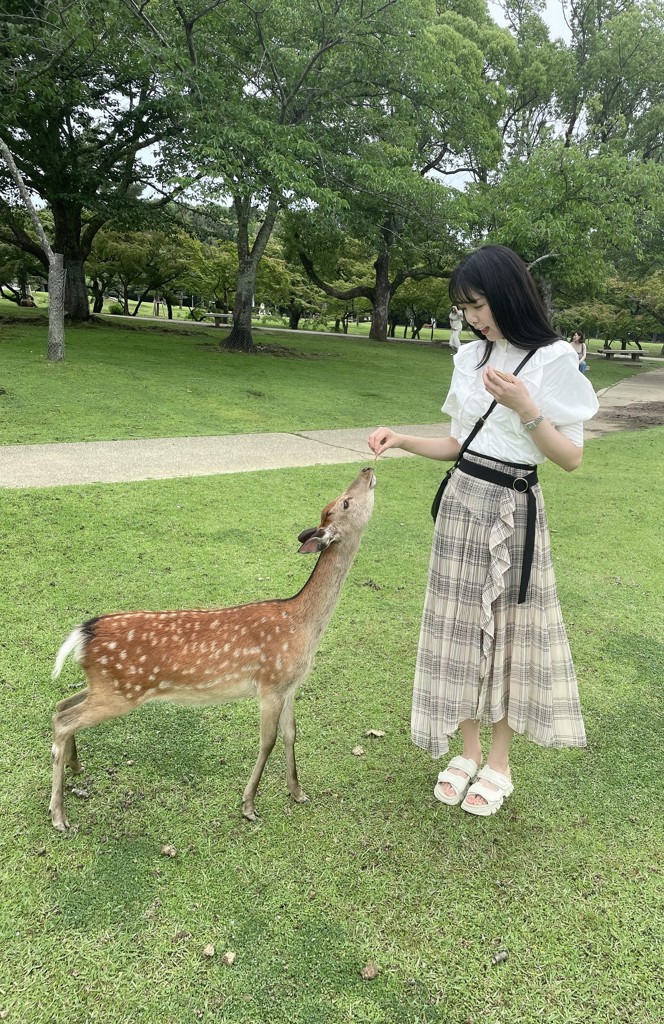 みるみる
