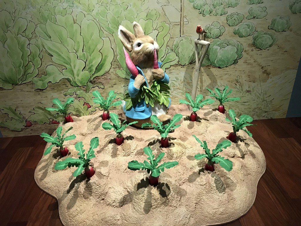 ひまわり
