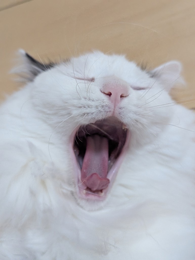 おはぎ