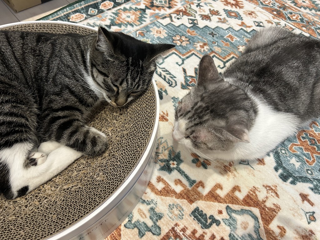 みらおか