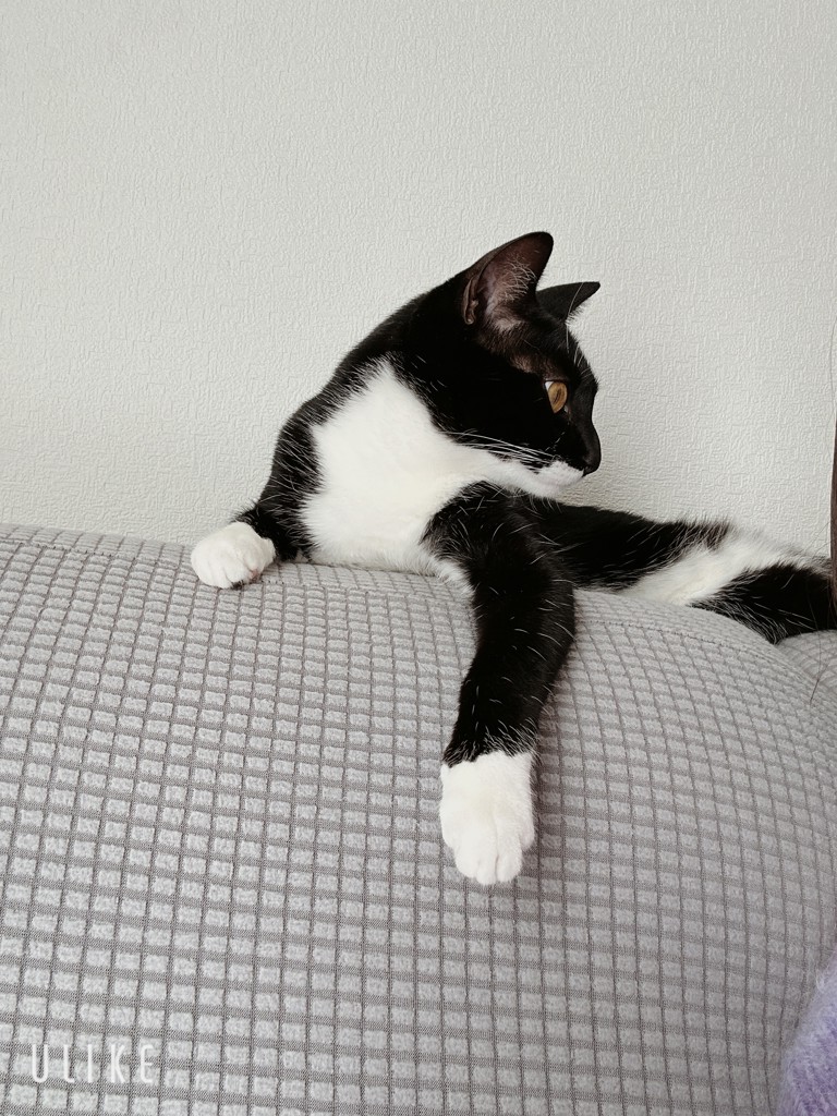 まる