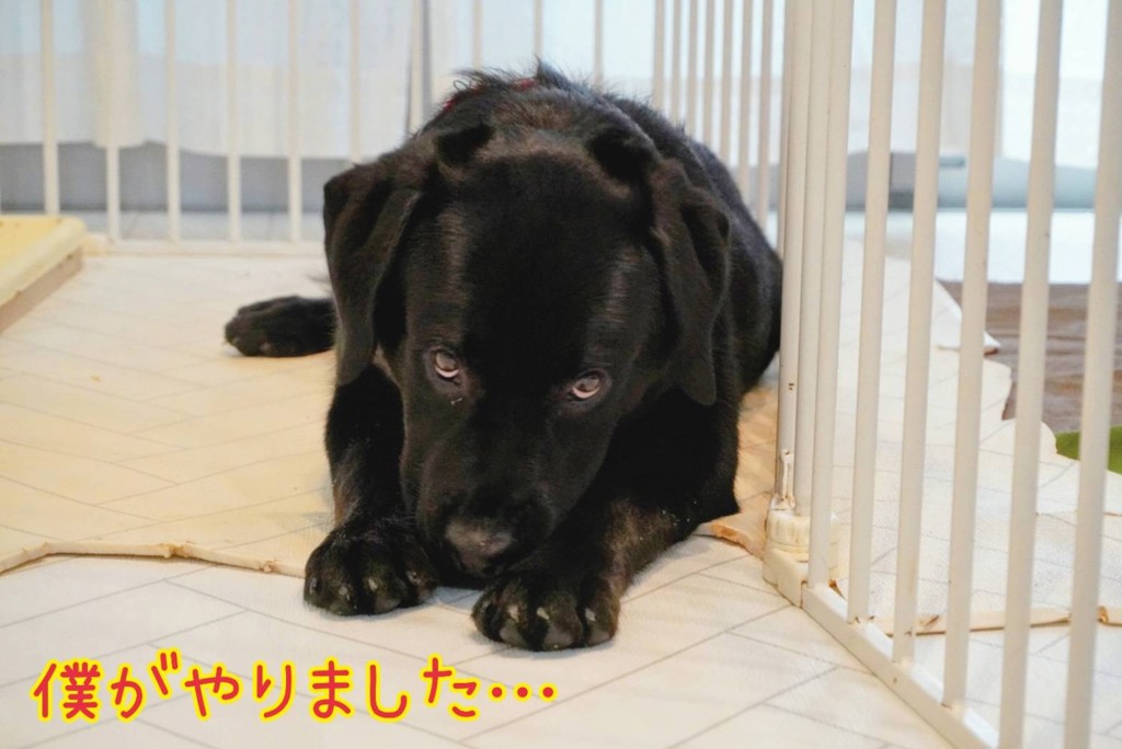 うっちー