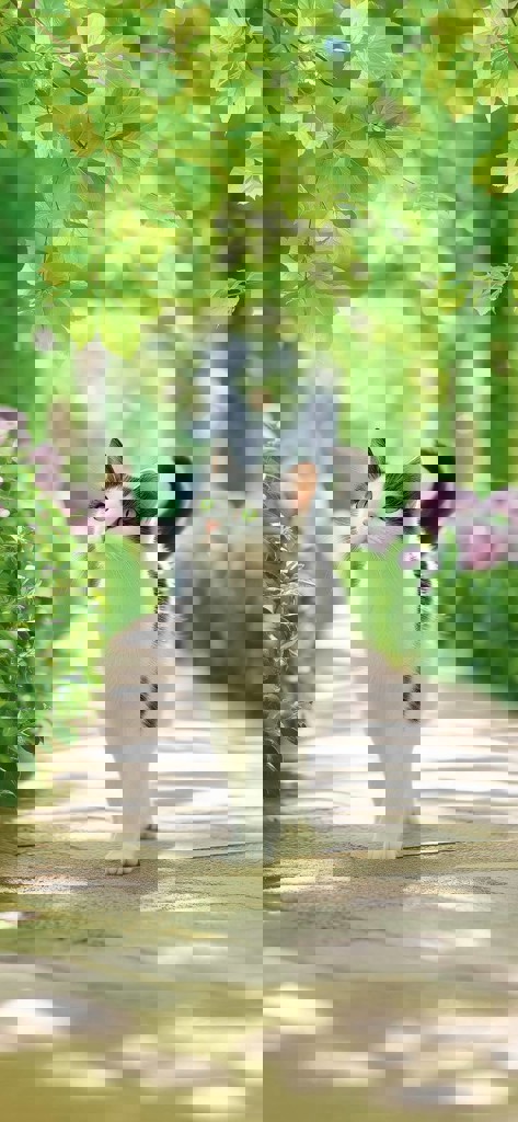 あり