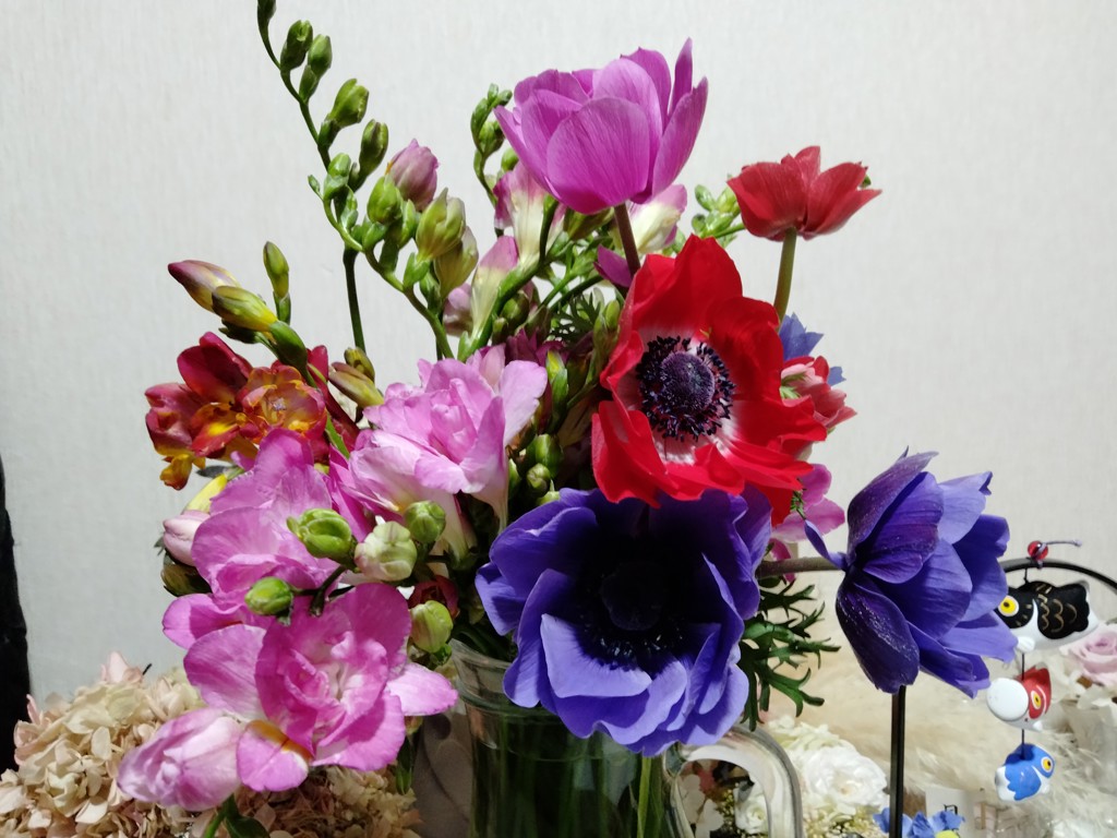 つねさん