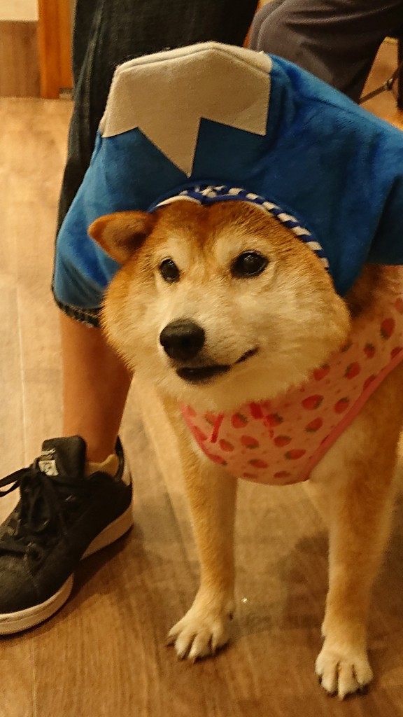 ユーザーアイコン