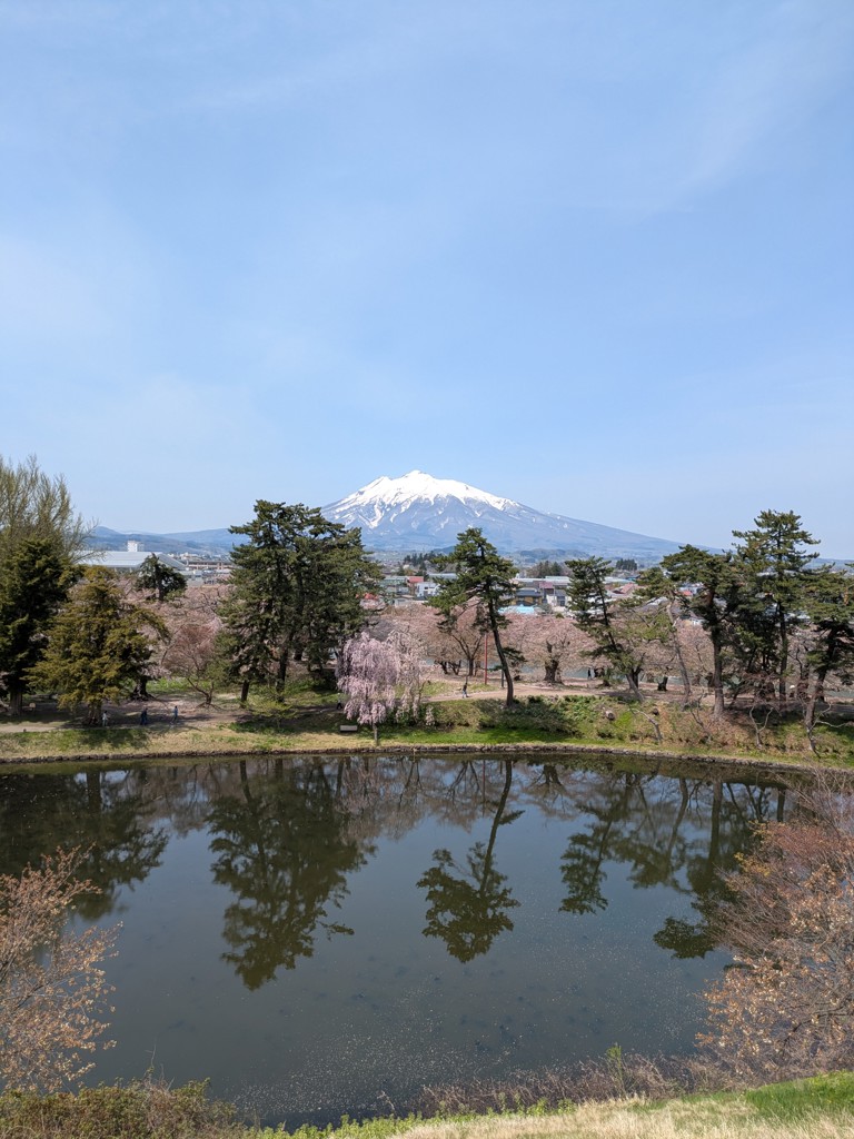 しろくまはむすたー