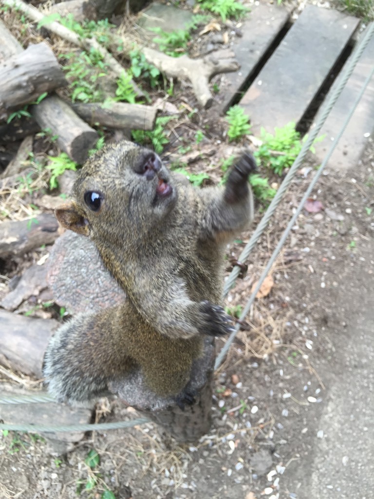 ユーザーアイコン
