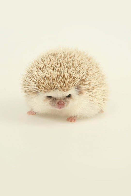 Ａ'