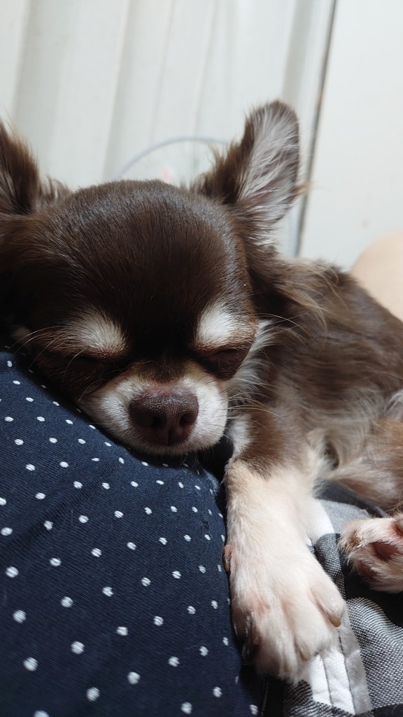 かーちゃん