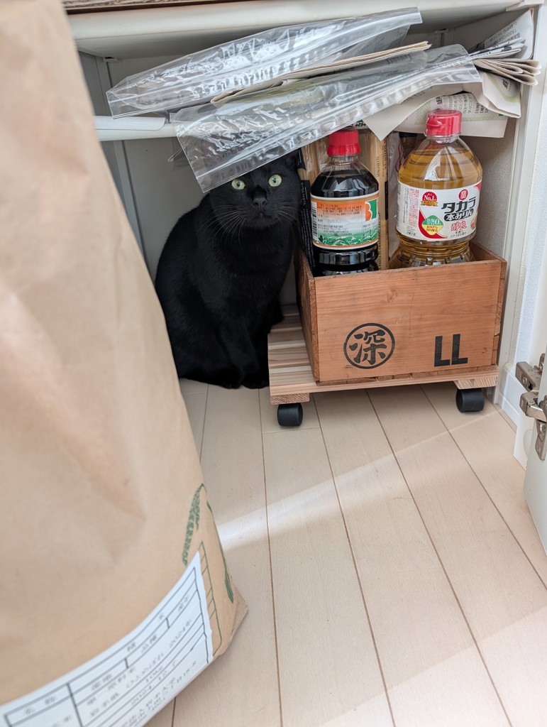 くぼゆき