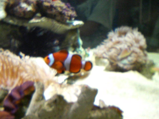 ユーザーアイコン