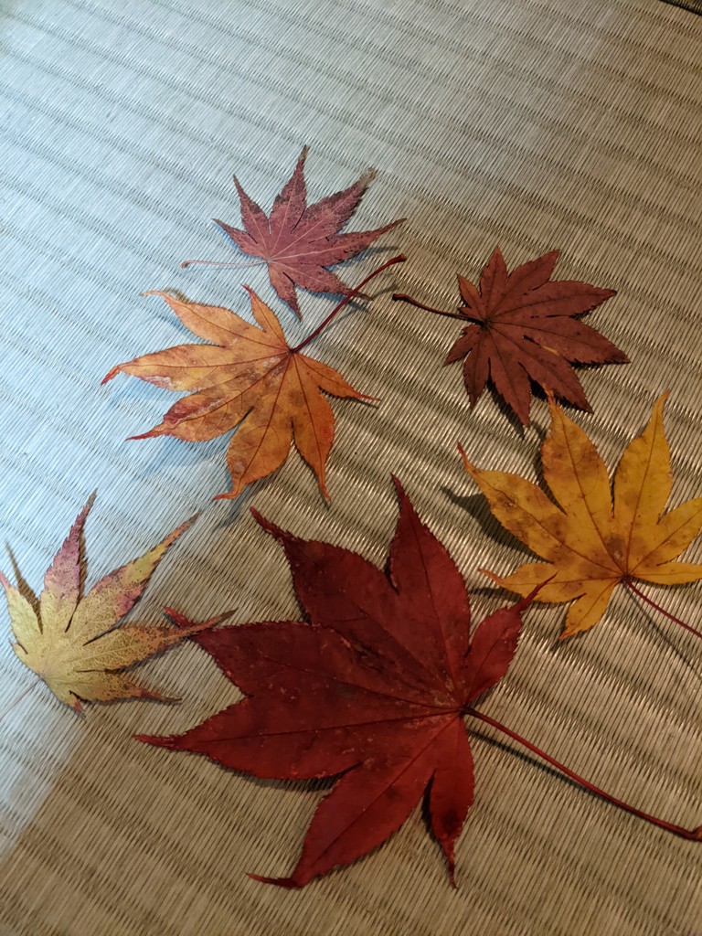 ぴー