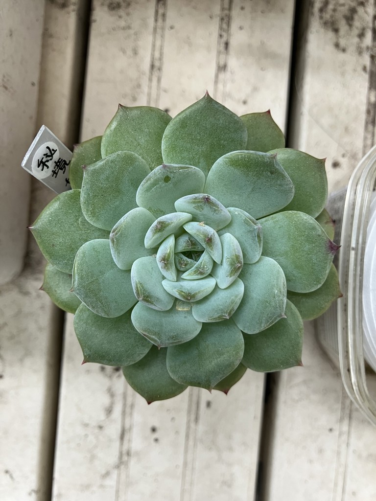 ユーザーアイコン