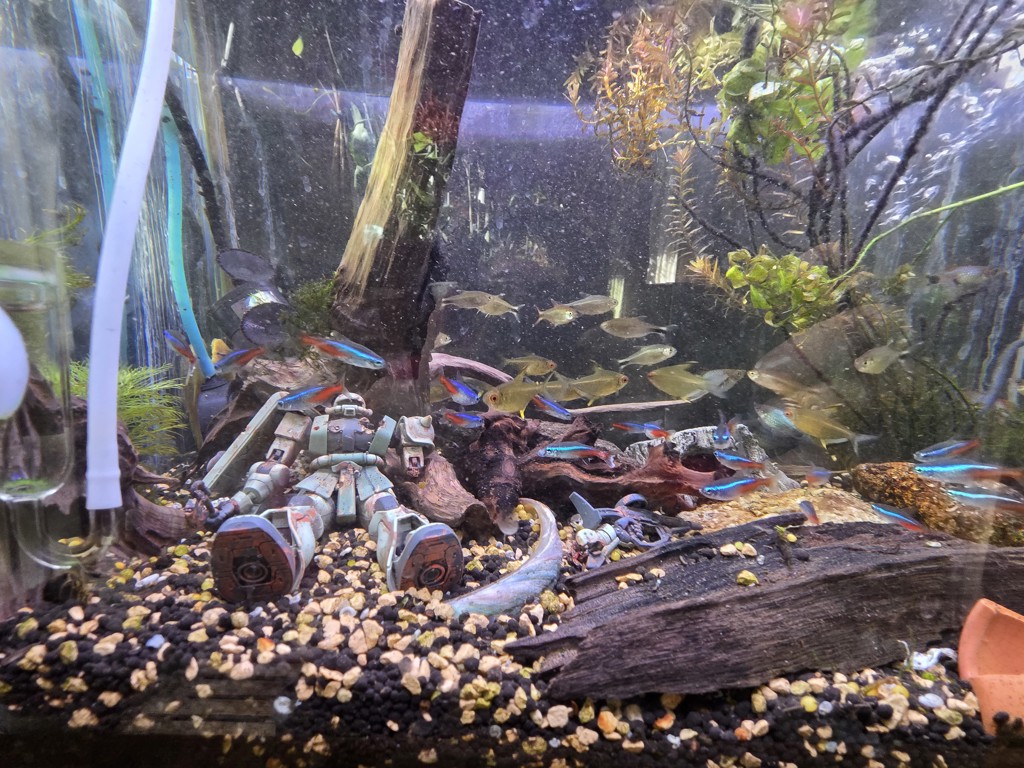 ユーザーアイコン