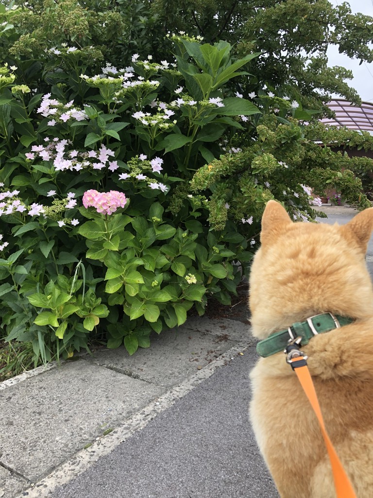 きみ