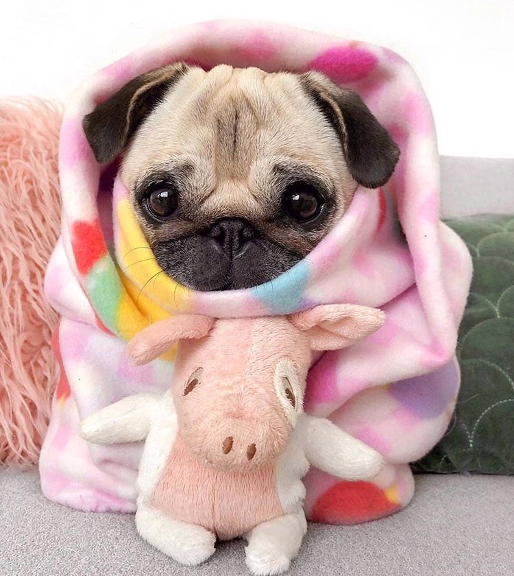 にこ