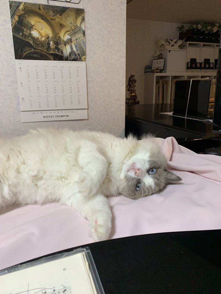 ぱうこ