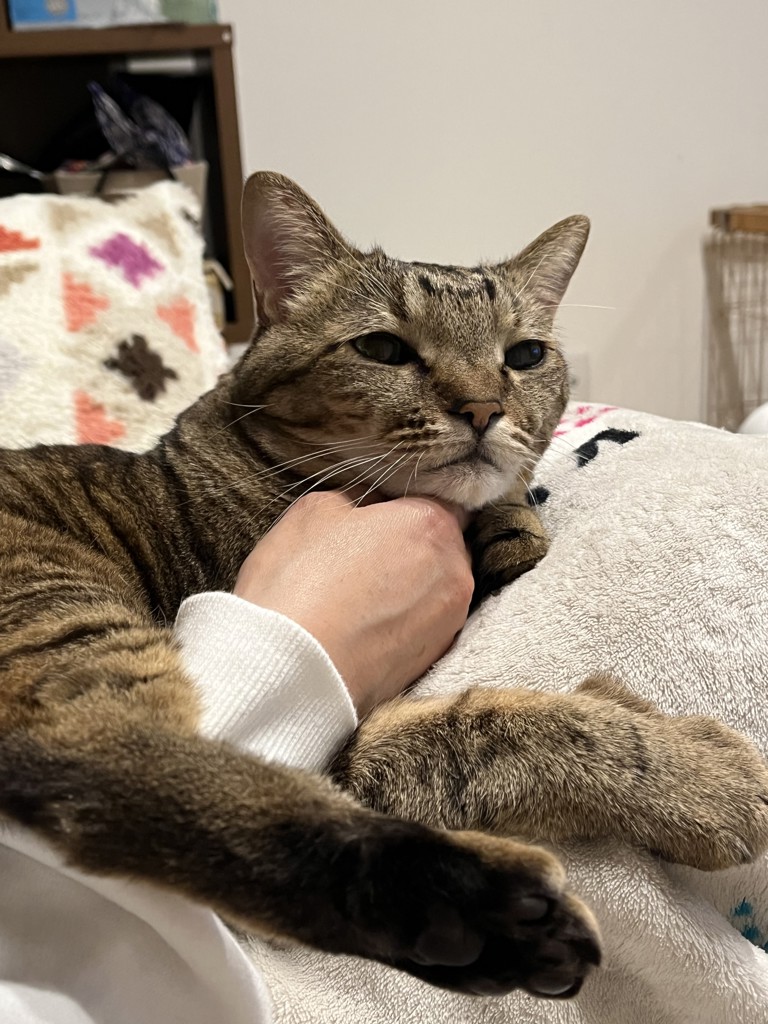 あっちゃん