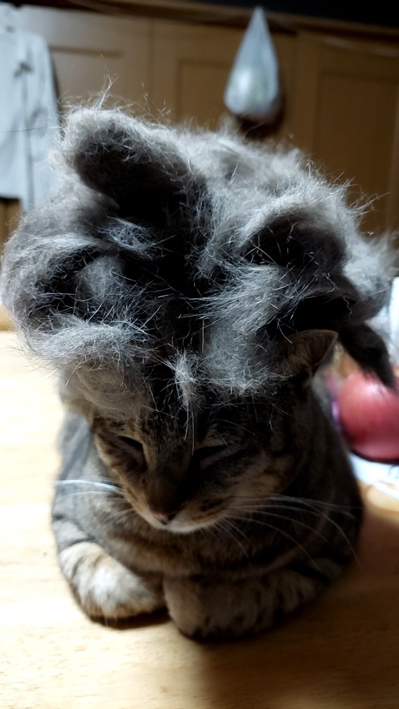 ユーザーアイコン