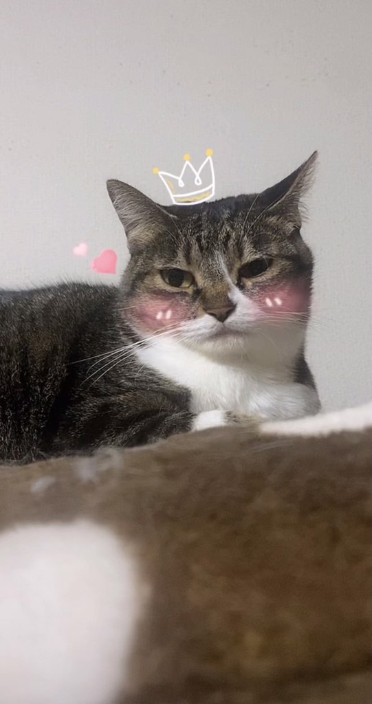ゆか