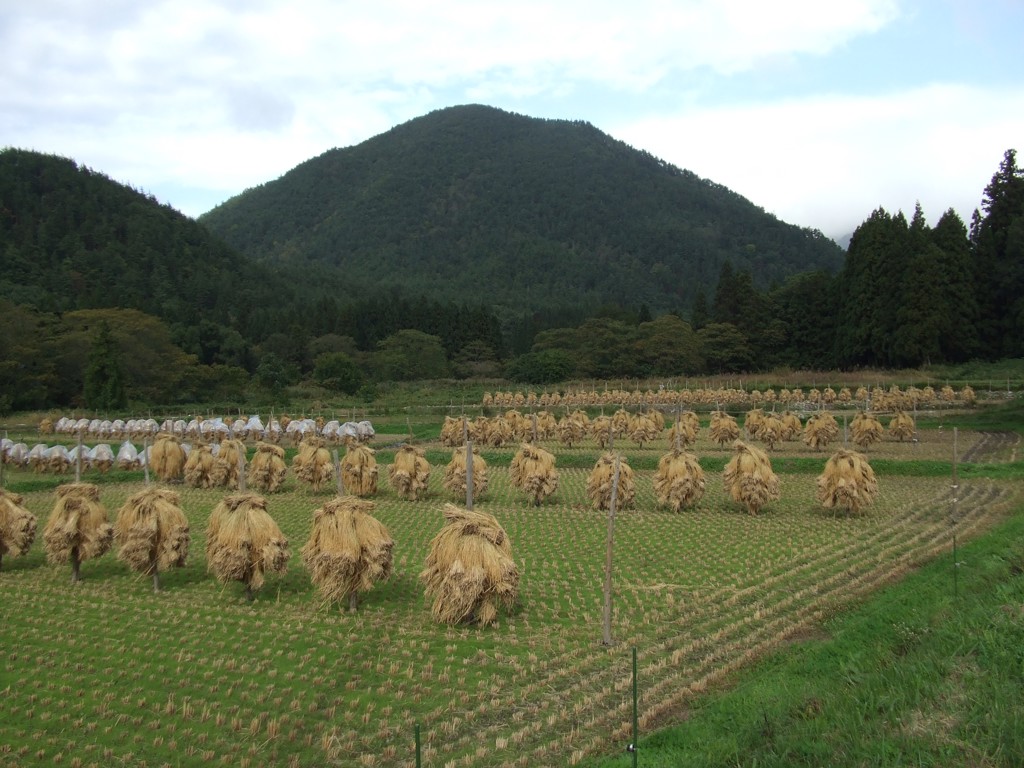 壽恒庵